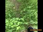 Просмотор порно роликов без регистрации